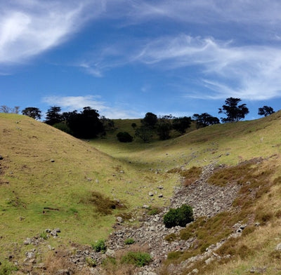 Blog about in the shadows of Mangere Mountain